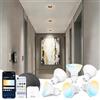 Aigostar Mesh - 6.5W GU10 Lampadine Alexa Bluetooth Mesh, Lampadina Smart Works with Alexa, Lampadina GU10 Smart LED 555LM CCT(2700K-6500K), 6 Unità (Con Telecomando Bluetooth e Gateway)