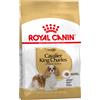 Royal Canin Breed Royal Canin Cavalier King Charles Adult Crocchette per cane - 3 kg