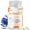 PETS Dolfos Dolfos Pets ArthroDol Integratore Articolazioni Cane, Antinfiammatorio e Analgesico Favorisce la Mobilità dei Cani Anziani 100% Naturale 90 Compresse