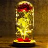 PASDTFB Regalo San Valentino per Lei Rosa Eterna Regalo Donna Compleanno Rose Bella e la Bestia Regali San Valentino Rose Incantate in Cupola Vetro con Luci LED Regalo Amica Mamma Fidanzata Nonna Anniversario