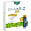 Generic Biocollagenix 10 Drink FORTE - 10 Flaconcini da 30ml, DOPPIA CONCENTRAZIONE, Senza Glutine - Integratore Alimentare a base di Collagene Marino Idrolizzato + Biocollagenix 7 Ampolle in OMAGGIO