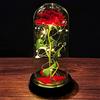PASDTFB Regalo San Valentino per Lei Rose Bella e la Bestia Regalo Donna Compleanno Rosa Eterna Regali San Valentino Rose Incantate con Luci LED Cupola Vetro Regalo Mamma Amica Fidanzata Ragazza Nonna Sorella