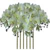 FagusHome Phalaenopsis - 6 fiori artificiali, colore bianco, 80 cm, per decorazione della casa (verde chiaro)