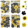 Woohome 120 Pz Naturali Pressati Fiori Pressati Secchi, Giallo e Nero Foglie Pressate Secche Naturali per Resina, Fiori Secchi Veri Pressati Fiori per Scrapbooking, Gioielli in Resina Epossidica