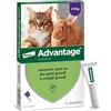 Elanco Advantage spot-on trattamento antipulci per gatti grandi e conigli grandi, 4 pipette.