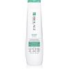 Biolage ScalpSync 250 ml