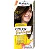 Palette Color Shampoo 341 shampoo colorante