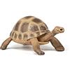 Papo - Statuetta Tartaruga di Hermann Realistica - 3 Anni + - Collezione La Vita Selvaggia - Gioco Educativo Rettili - Idea Regalo Giocattolo Bambina Bambino