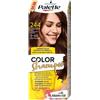 Palette Color Shampoo 244 shampoo colorante