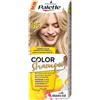 Palette Color Shampoo 315 shampoo colorante