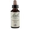 SCHWABE Bach Wild Oat 20 ml