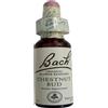 SCHWABE Bach Chestnut Bud 20 ml