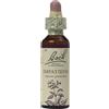 SCHWABE Bach Impatiens 20 ml