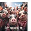 Edition Seidel Biglietto di auguri di compleanno quadrato con busta.Happy Birthday Billet animal card uomo donna cool maiale umorismo divertente (GQ169 SW024)