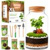 PYEF CRAFTS Terrarium Kit XL per un Ecosistema Autosufficiente - DIY Kit Terrario Piante Vetro 4L - Terrarium Vetro XL per Giardino in Bottiglia Ecosistema - (Senza Pianta)