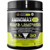 Healthy Fusion Aminomax | Amminoacidi essenziali | 8,7g/dose di BCAA, Glutamina, Collagene, Magnesio e Vitamina B6 | Recupero muscolare, attiva il metabolismo e rafforza il sistema immunitario | 300g