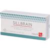 Sillbrain Cps