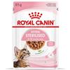 Royal Canin Kitten Sterilised Gravy | 12 x 85 g | Cibo umido per gattini sterilizzati in crescita | Dai 6 ai 12 mesi | Consistenza morbida per i denti da latte