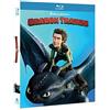 Dreamworks Dragon Trainer 1 (New Linelook) (e8t)