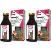 Salus Floradix® Kids 2x250 ml Soluzione orale