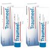 Guna Traumeel® S 2x100 g Crema