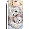 EuoDuo Compatibile con Samsung Galaxy Note 10 Plus Cover con Disegni Custodia Libro Portafoglio in PU Pelle Completa Protettiva Caso Magnetica Flip Wallet Case - Mamma gatto e gattino