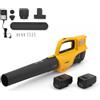 Stiga BL 300e Kit - Soffiatore a batteria - 2 batterie da 20V 4Ah