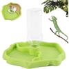 Taozoey Distributore Acqua Rettili, 2 in 1 Abbeveratoio Tartarughe di Terra, Ciotola per bere Tartaruga Accessori per Rettili, per Tartaruga, Lucertola, Criceto, Serpente