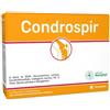 Anvest Health Srl Condrospir Integratore Per La Funzione Articolare 14 Bustine
