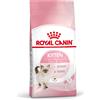 Royal Canin Cat Kitten 2