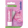BEIERSDORF LABELLO SOFT ROSE 5,5ML