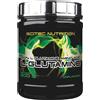 Scitec Nutrition L-Glutamine 300g - Aminoacidi essenziali
