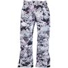 Burton Ak Goretex Summit Pants Viola S Donna