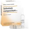 guna HEEL Selenium Compositum N 10 Fiale