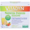 Phyto Garda Vitadyn Magnesio Potassio Alkalino Integratore 10 Bustine