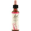 schwabe pharma italia Bach 19 Larch Gocce 20ml