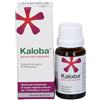 schwabe pharma italia Kaloba Gocce 20mg / 1,5ml Contro Raffreddore Comune 20 ml