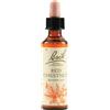 schwabe pharma italia Bach 25 redchestnut 20ml lkr
