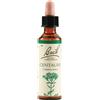 Bach 4 centaury 20ml