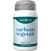 Erba Vita Carbone Vegetale 100 Tavolette
