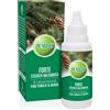 Pumilio Forte Essenza Balsamica 40 ml