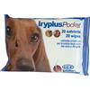 i.c.f. ind.chimica fine Iryplus Pocket X 20 Salviette