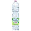 San Benedetto Acqua minerale 1,5 L Ecogreen San Benedetto naturale in conf. da 6 bottiglie - 1755