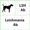 CiTest Diagnostics Inc. Test rapido veterinario LSH Ab Leishmania - 10 test