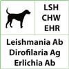 CiTest Diagnostics Inc. Test rapido veterinario LSH+CHW+EHR per Leishmania, Dirofilaria e Ehrlichia - 10 test