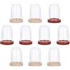 NBEADS 10 Set Mini Campana di Vetro Trasparente con Base in Legno, Teca per Centrotavola Piante Rocce Esemplari Decorazioni, 3.9x2.5cm