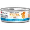 Disugual Intestinal Pesce Bianco 85g umido dietetico gatto 85 g