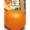 Tesoro della Terra Zucca Gialla Quintale