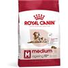 Royal Canin Size Royal Canin Medium Ageing 10+ Crocchette per cane - 15 kg