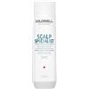 Goldwell Dualsenses Scalp Specialist Deep Cleansing Shampoo 1000 ml (26,12 € / 1 l)